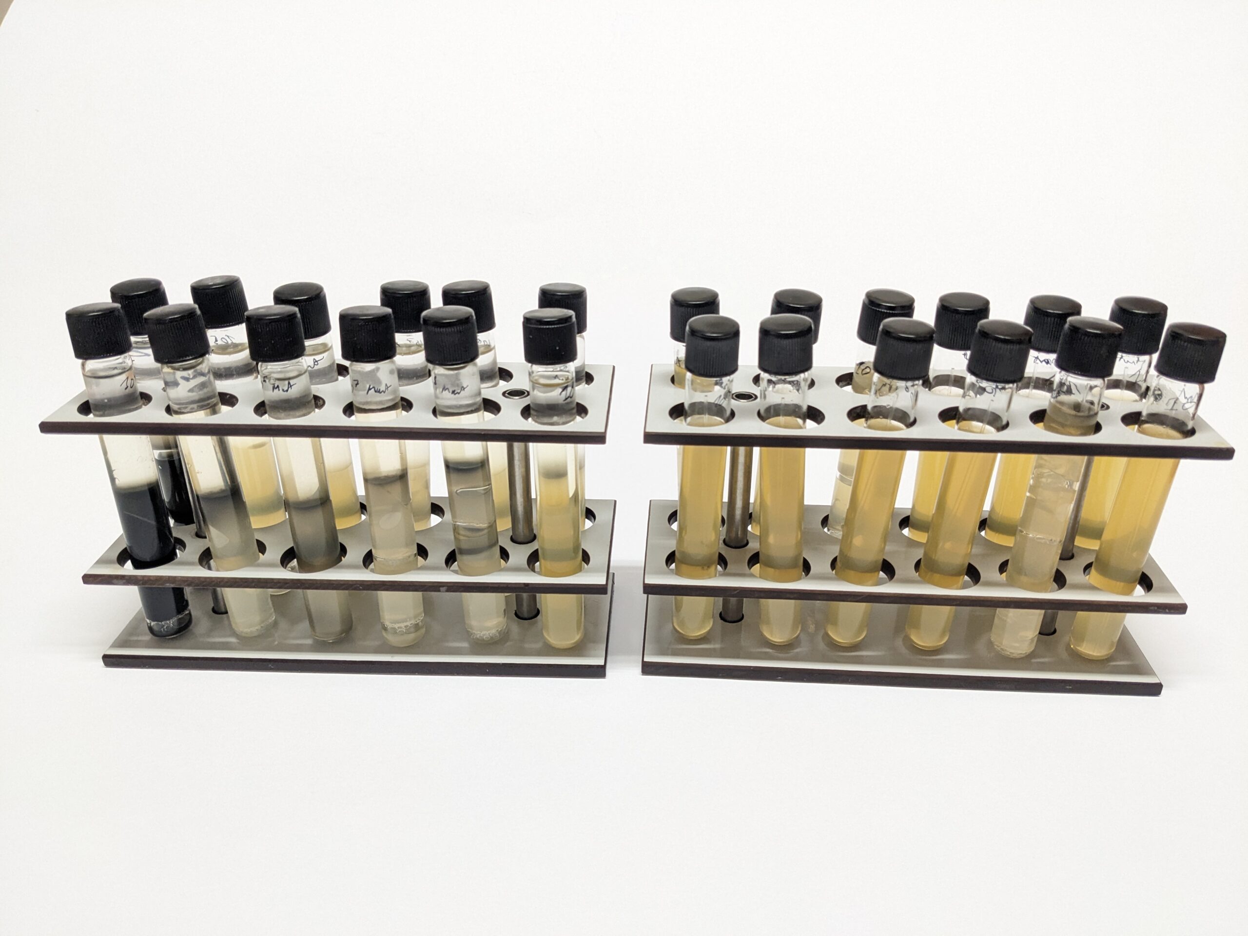 Analyse Bactéries sulfato-réductrices